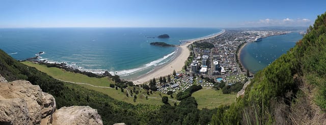 tauranga