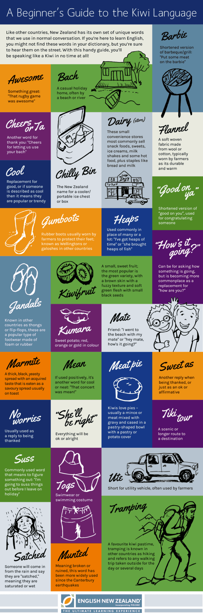 Beginner's Guide to Kiwi English English New Zealand