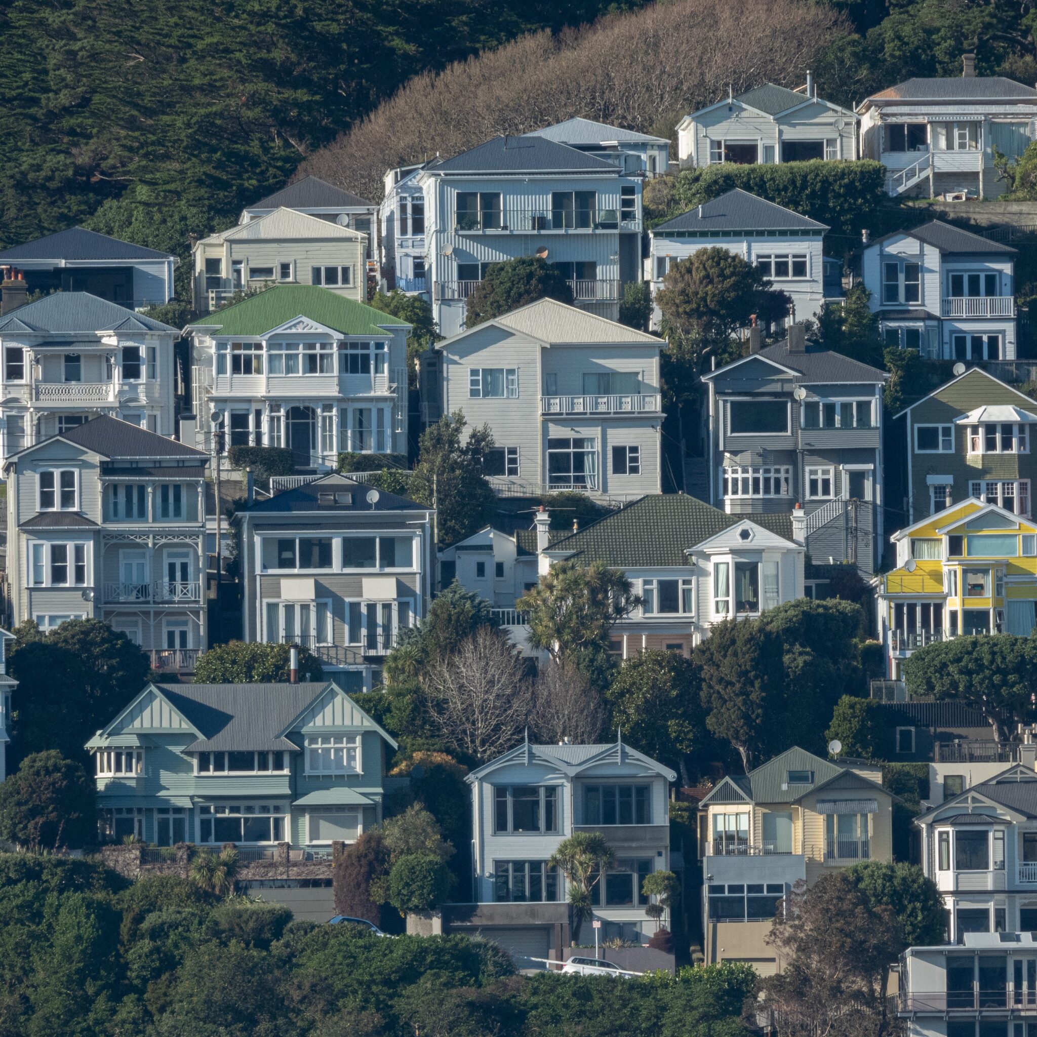 Wellington houses.